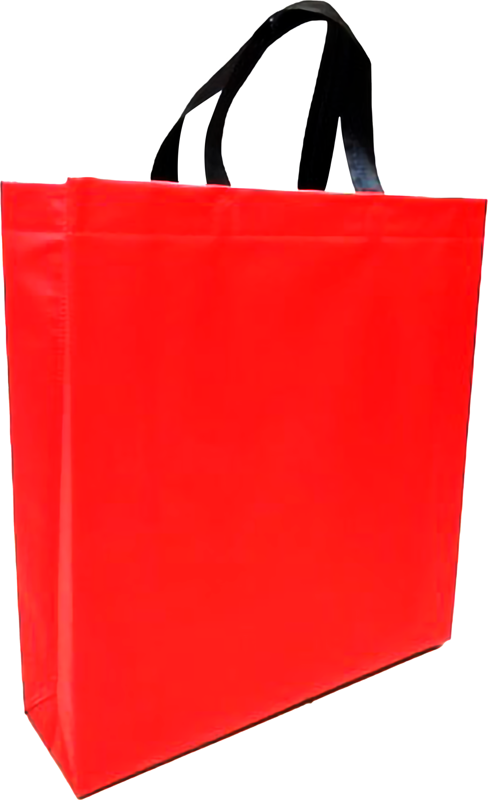 LOOP Bag